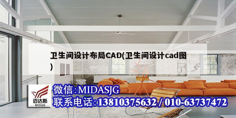 衛(wèi)生間設(shè)計布局CAD(衛(wèi)生間設(shè)計cad圖)