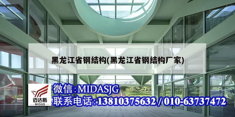 黑龍江省鋼結構(黑龍江省鋼結構廠家)