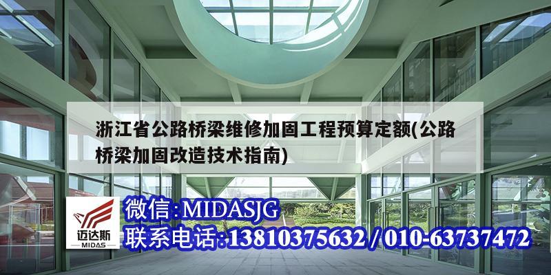 浙江省公路橋梁維修加固工程預(yù)算定額(公路橋梁加固改造技術(shù)指南)