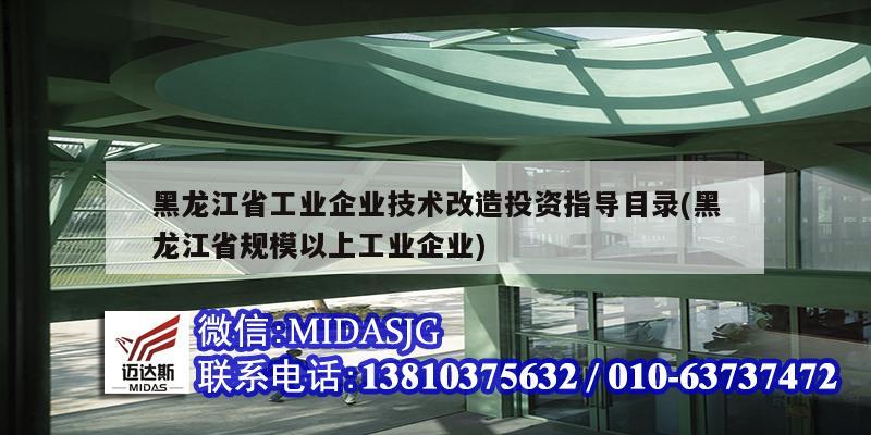 黑龍江省工業(yè)企業(yè)技術改造投資指導目錄(黑龍江省規(guī)模以上工業(yè)企業(yè))